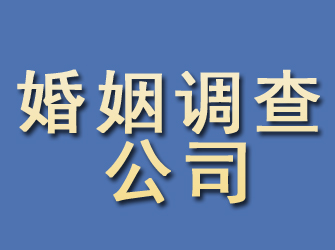 柳南婚姻调查公司